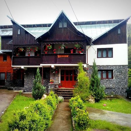 Hotel Vila Vanturis Sinaia Exterior foto